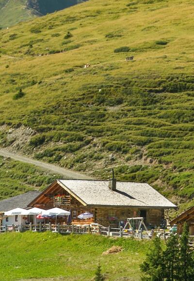Hochsonnbergalm - die gemütliche Alm lädt zum Entspannen ein