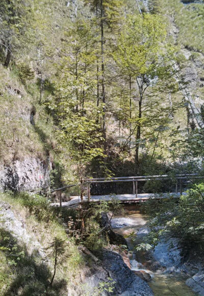 Auf dem Reitsteig von König Ludwig II