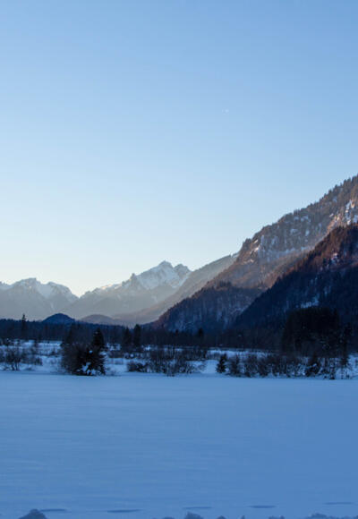 Winterwanderung - Weidmoos
