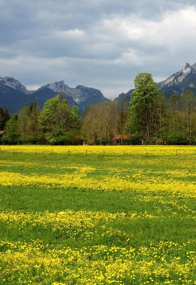 Radtour Schloss Linderhof Runde - Bick auf Scheinberg und Große Klammspitze