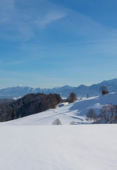 Winterwanderung - Rantscher Weiher