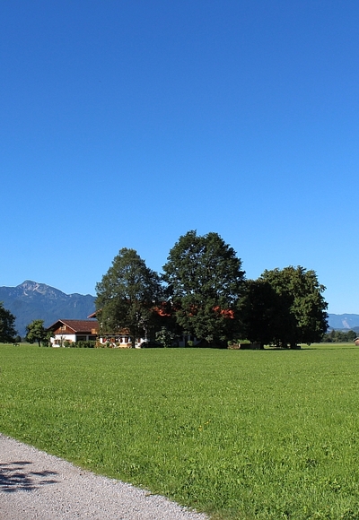 Moosweg bei Benediktbeuern