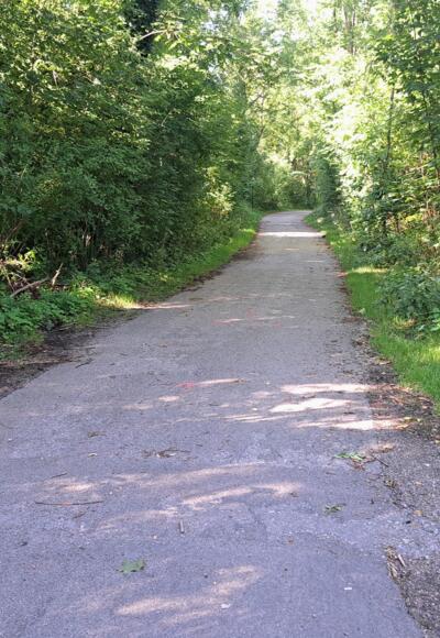 Asphaltierte Weg in den Olchinger Amperauen