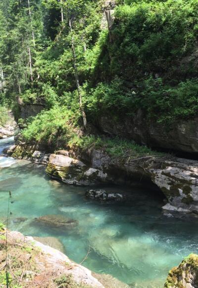 Grün schimmernde Breitach