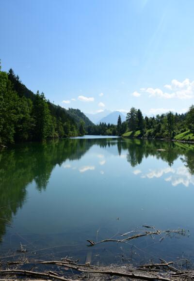 Auwaldsee