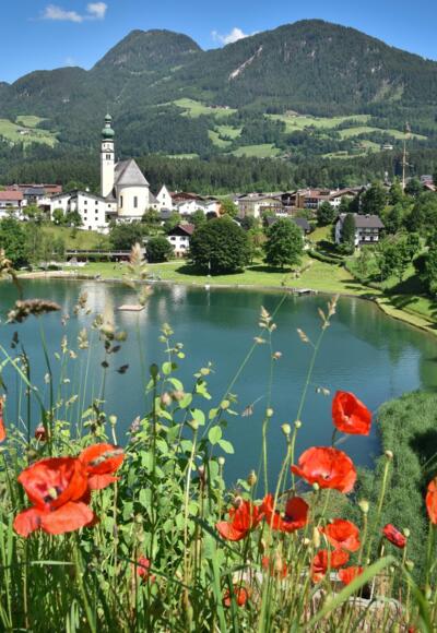 Reither See