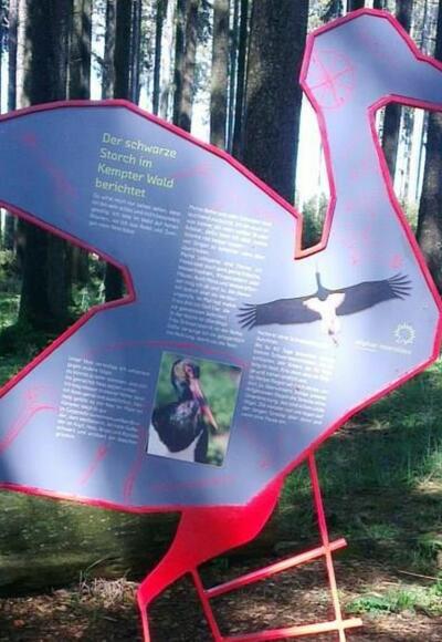 Moorerlebnis Mosaikreich, Bodelsberg – Schwarzstorch-Modell