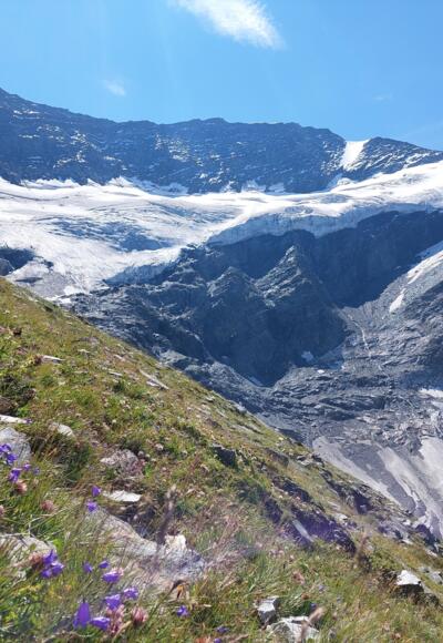 Blick auf den Gletscher (Rifflkees)