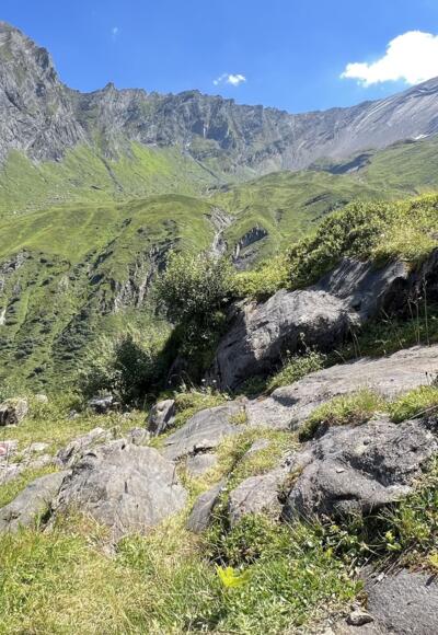 Naturlandschaft am Weg zum Hacklsee