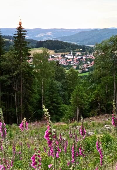 Blick nach Elisabethszell vom Wanderweg nach Maibrunn