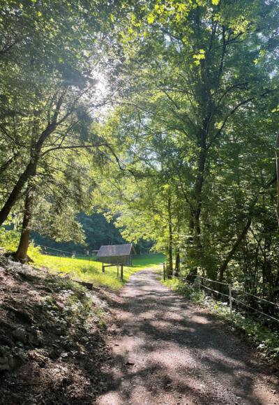 Auf dem Wanderweg Richtung Innerbraz