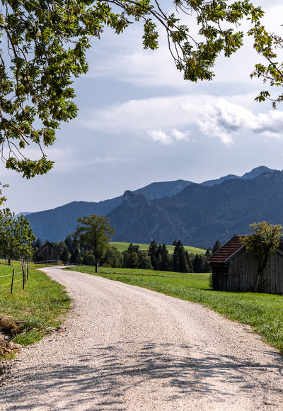 Schotterweg durch Wiesen der Ammergauer Alpen