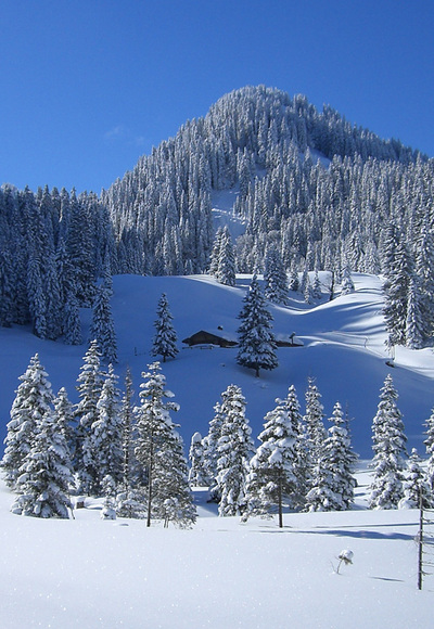 Skitour Laber - an der Soila-Alm