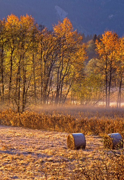 Radtour - Durchs Murnauer Moos - Herbststimmung im Moos