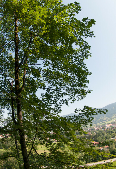 Klettergebiet Kofel Grottenwand