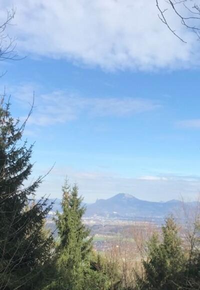 Terrainkurweg Bergblumengarten Piding