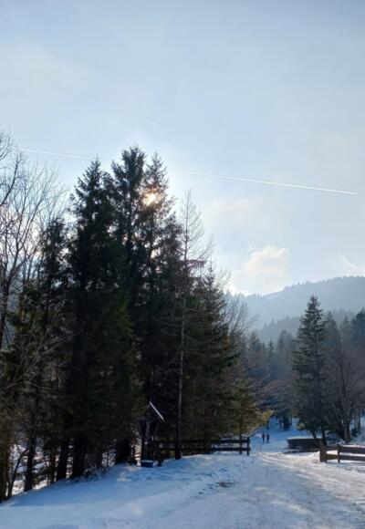 Ausblick von der Schlipfgrubalm im Winter