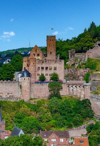 Start im Wertheim