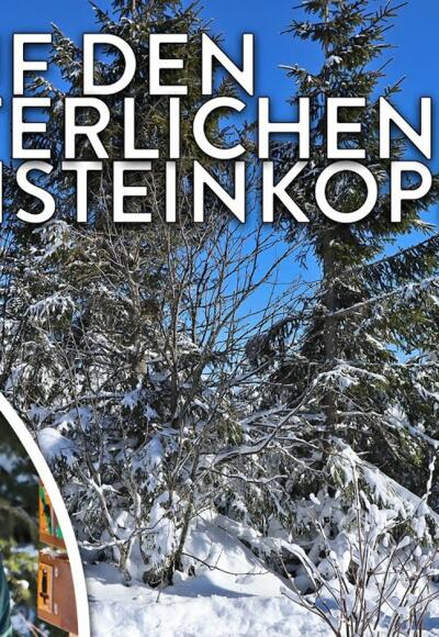 Im Video auf den winterlichen Siebensteinkopf