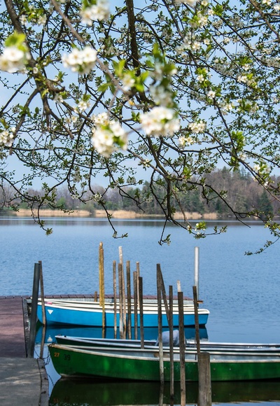 Frühling am Abtsdorfer See