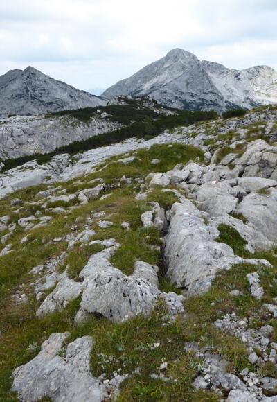 Aussicht vom Karstplateau