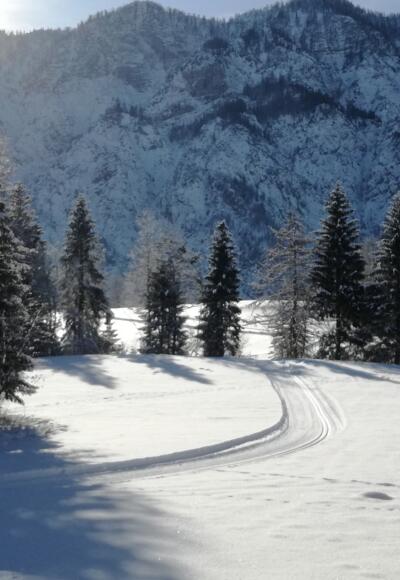Verbindungsloipe Ramsau nach Reitern in Bad Goisern am Hallstättersee