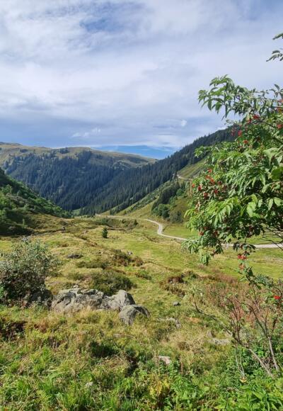 Ausblick von der Oberen Wasserstuben Alpe
