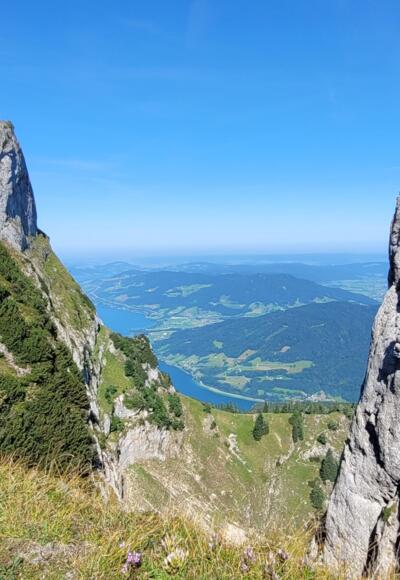 Auf dem Weg zur Spinnerin - Blick auf dem Schafberg