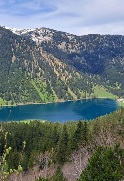 Vilsalpsee