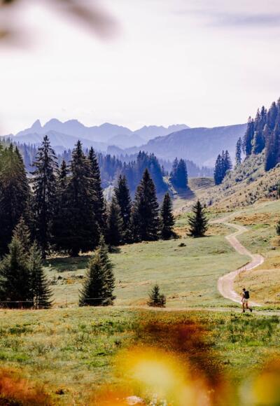 Ausblick von der Burgl-Hütte. Im Hintergrund die markante Trettachspitze.