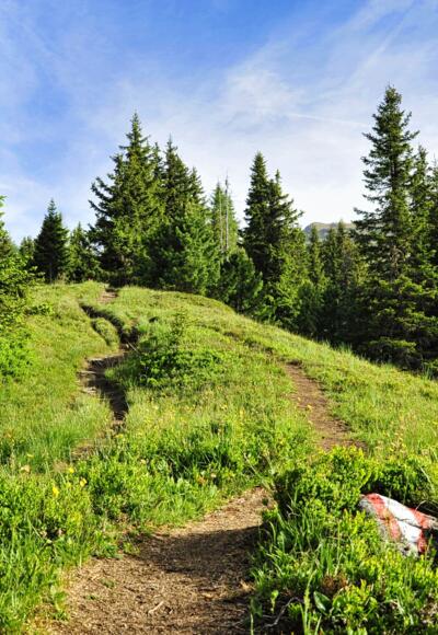Hinten oben, zwischen den Bäumen unser Ziel. Der Straßkopf.