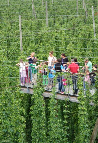 Der Hopfensteg in Tettnang