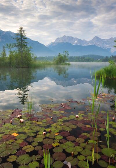Barmsee