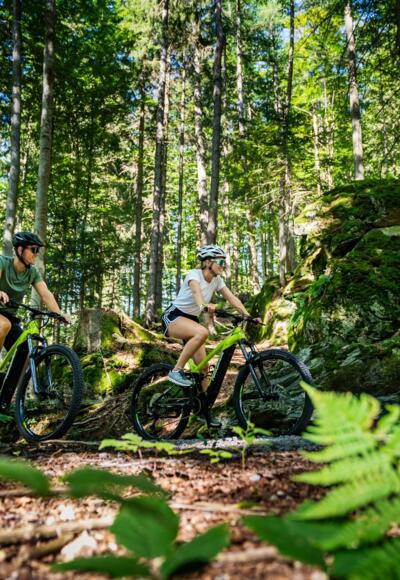 MountainbikenWaldHochficht01_FerienregionBoehmerwaldJustinBerlingerFotografie.jpg