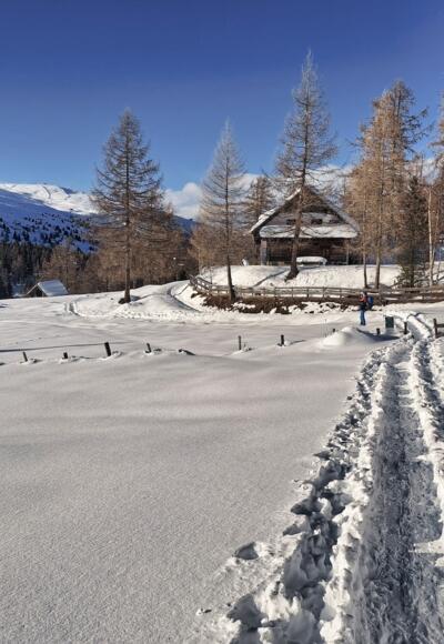 Neue Bonner Hütte