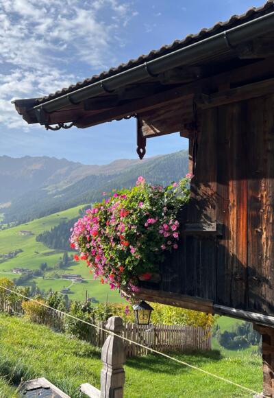 Oberer Höhenweg Alpbach - Inneralpbach