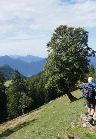 Die Querung zum Buchrain erfolgt auf einem schönen Panoramaweg