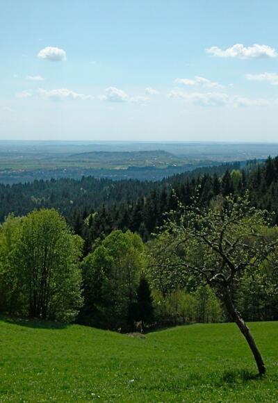 Blick zum Bogenberg bei Unternebling
