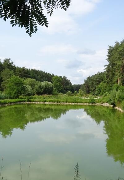 Wallersbacher Weiherkette