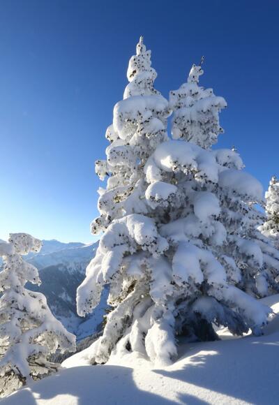 Winterlandschaft