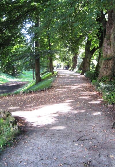Oettingen - Schlosspark