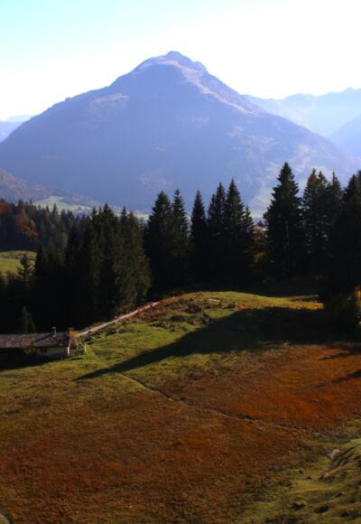 Blick auf die Ast zu Moosenhütte