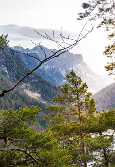 Blick vom Wanderweg am Müllnerhorn auf den Saalachsee