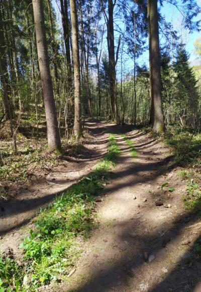 25 Glasaurunde