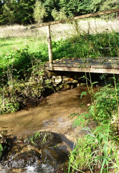 Mühlenweg Pesenbach