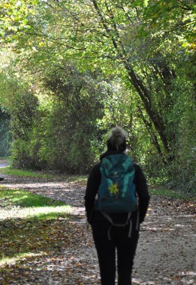 Wandern an der Amper in Fürstenfeldbruck