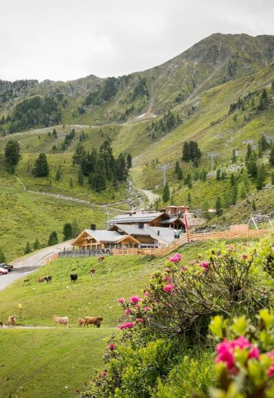 Balbach Alm