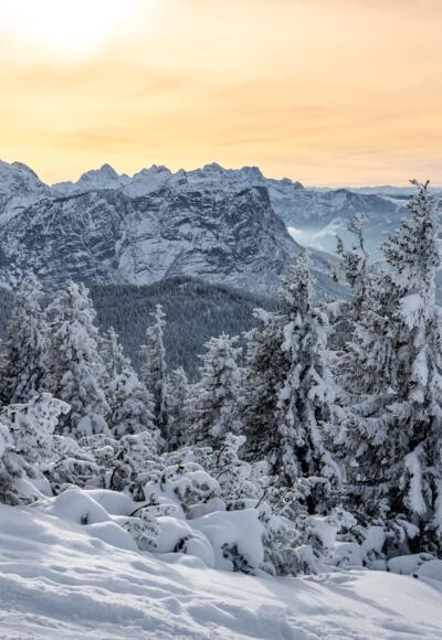 Blick nach Westen in Richtung Reiteralpe