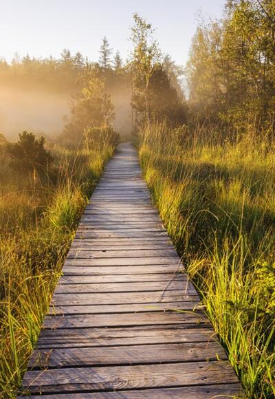 Bohlenweg im Murnauer Moos