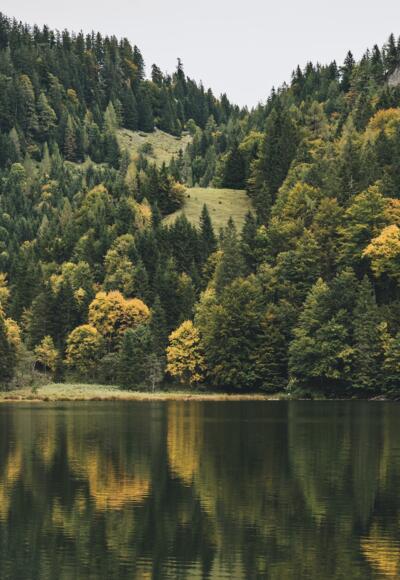 Taubensee
